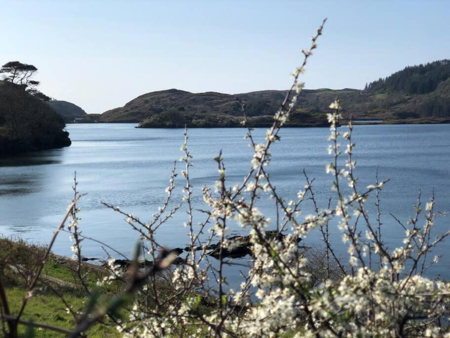 Lough Hyne Cottage Скибберин Экстерьер фото